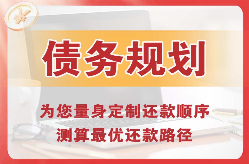 酉阳债务规划